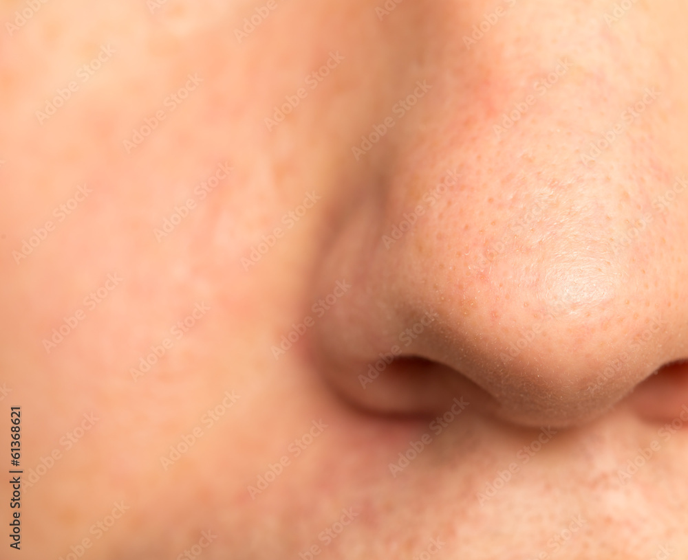 nose male. macro nose male. macro