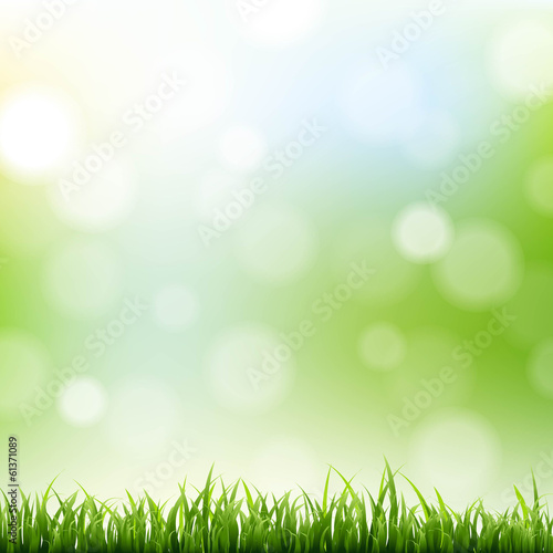 Grass Border With Bokeh Background