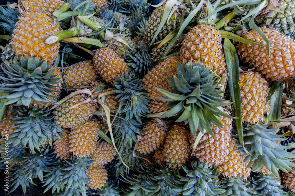 Pineapples Pineapples