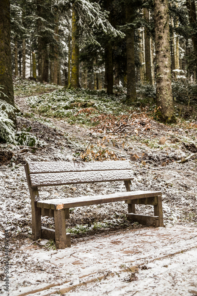 a bench under snow at park in winter time