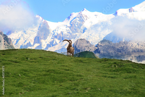 Mont Blanc © L.Bouvier