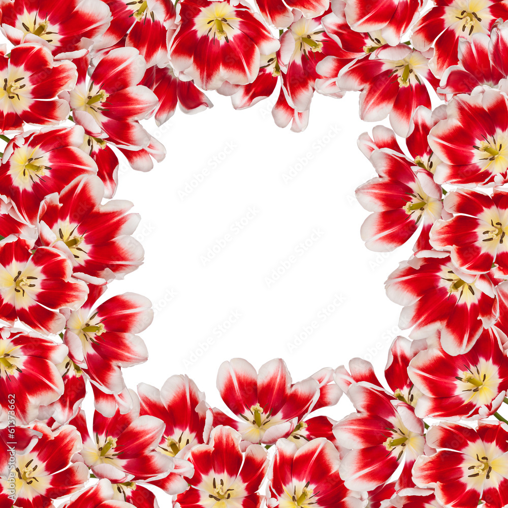 Beautiful red tulips flowers bouquet background