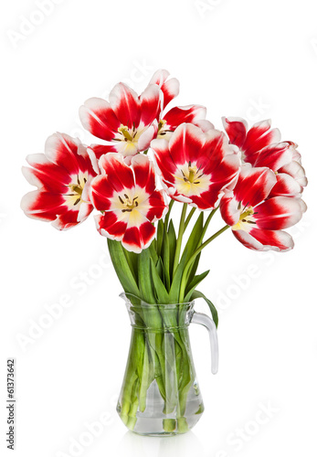 Fototapeta Naklejka Na Ścianę i Meble -  Beautiful red tulips flowers bouquet in vase 