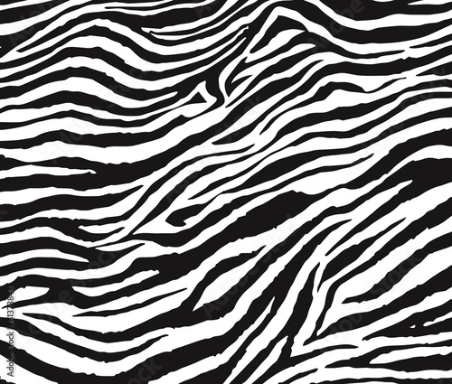 Zebra 1102