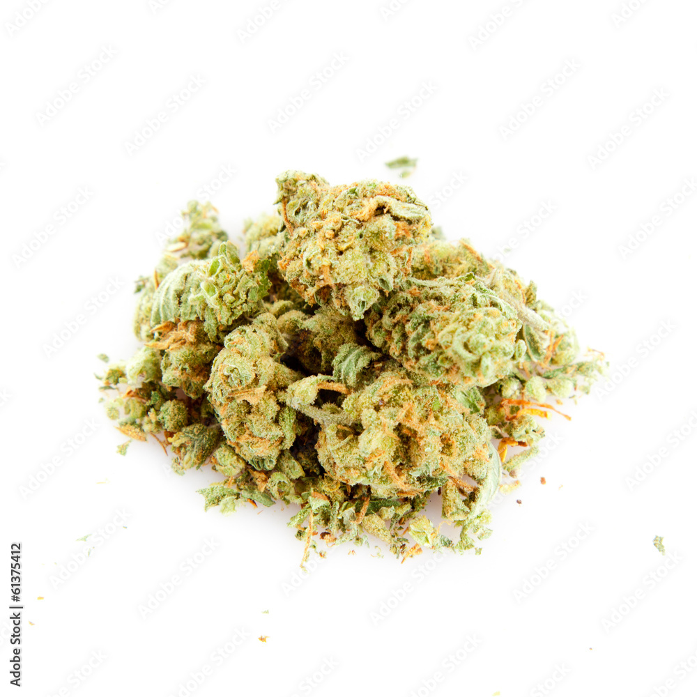 Medical marijuana isolated on white background.