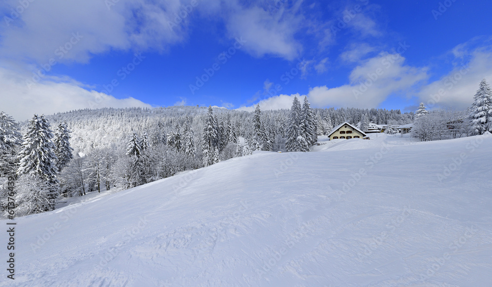 snowy winter landscape in black forest germany 10 snowy winter landscape in black forest germany 10