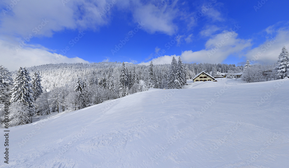 snowy winter landscape in black forest germany 10