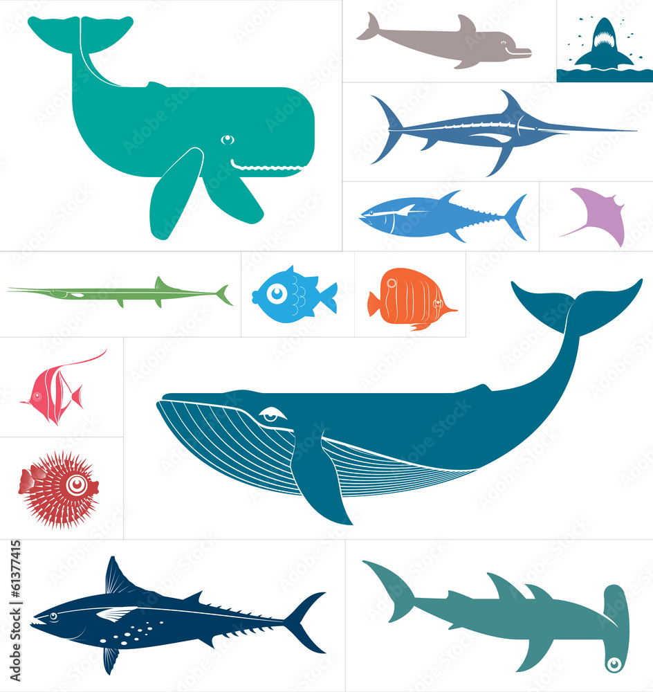 Obraz premium Sea vector set