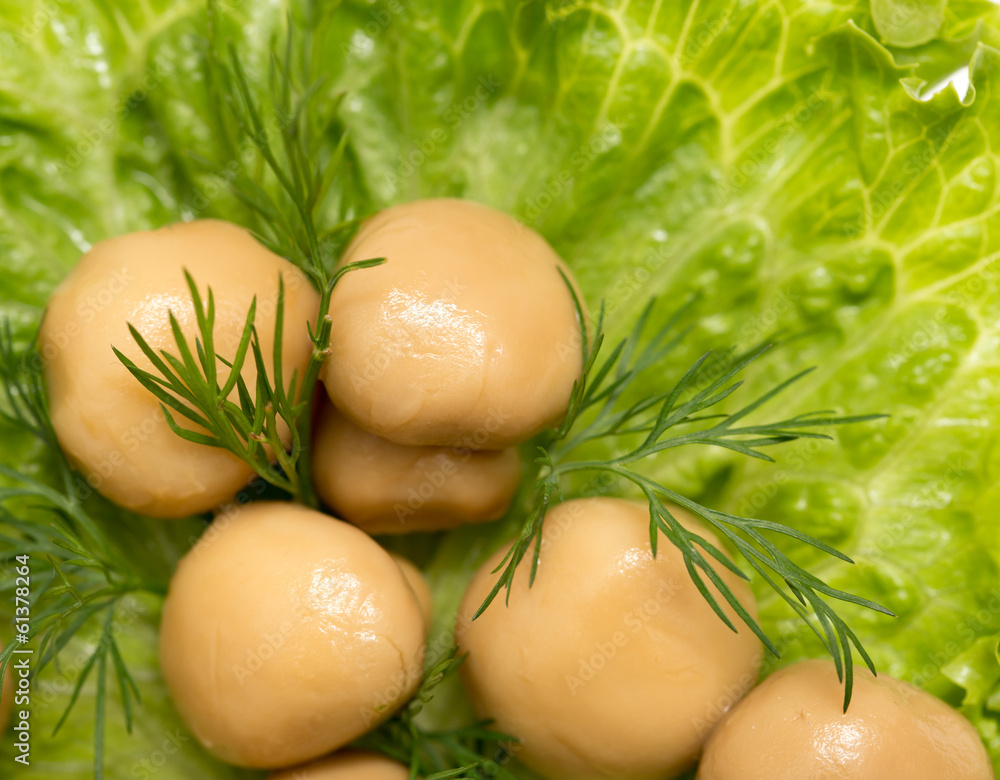 champignon mushrooms in lettuce leaves champignon mushrooms in lettuce leaves