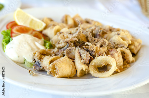 Serving of cooked calamari