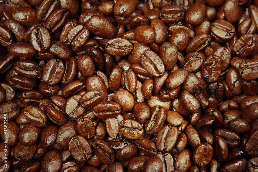 Fototapeta premium Coffee beans