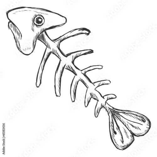 vector sketch illustration - fish skeleton photo