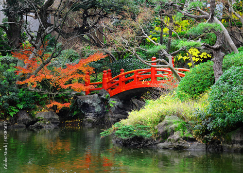 Japanese garden #61384677