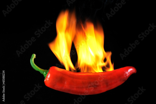 Red Pepper with Flame isolated black backgraund