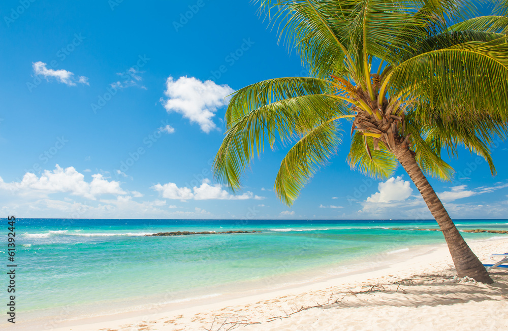 Barbados Barbados
