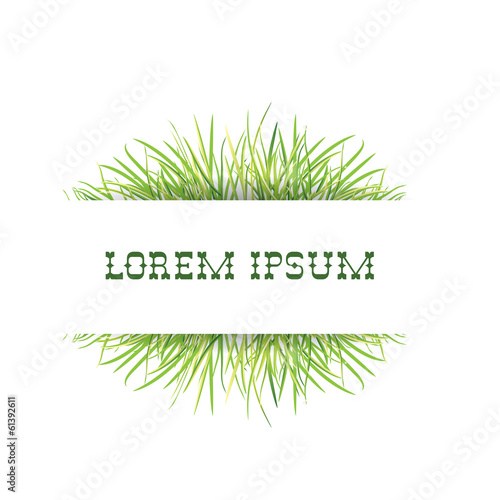 text template with green grass, vector