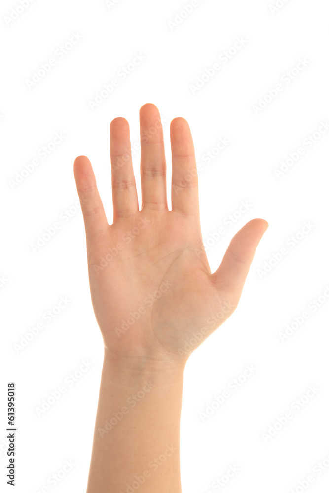 Hand Hand