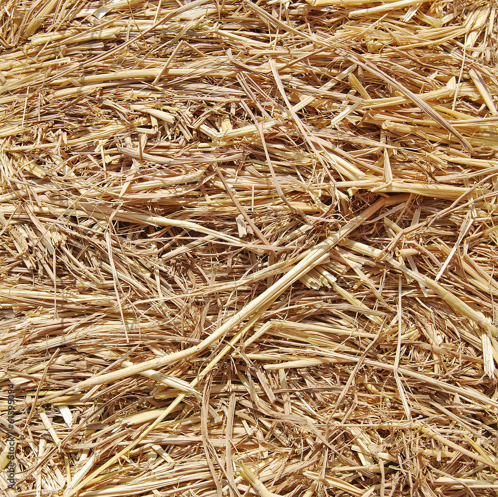 thatch,Close up straw background. thatch,Close up straw background.