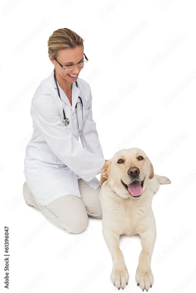 Happy vet petting yellow labrador dog