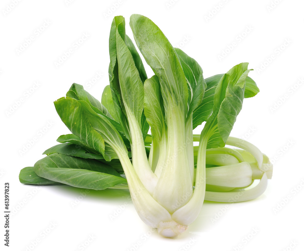 Pok Choi vegetable isolated on white background Pok Choi vegetable isolated on white background