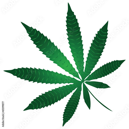 Marijuana