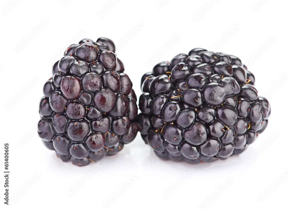 blackberry blackberry