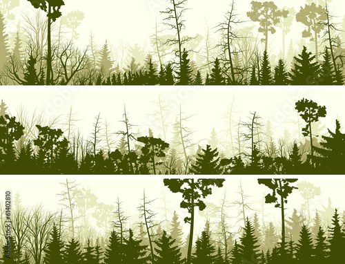 Horizontal banners of coniferous wood.