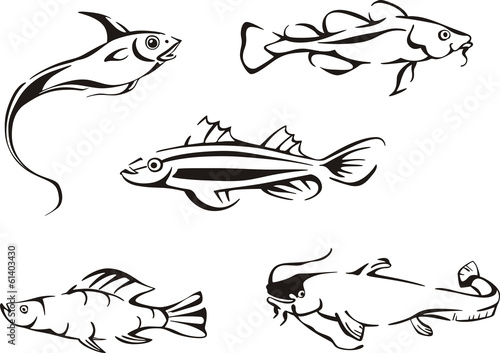 Set of black and white fish