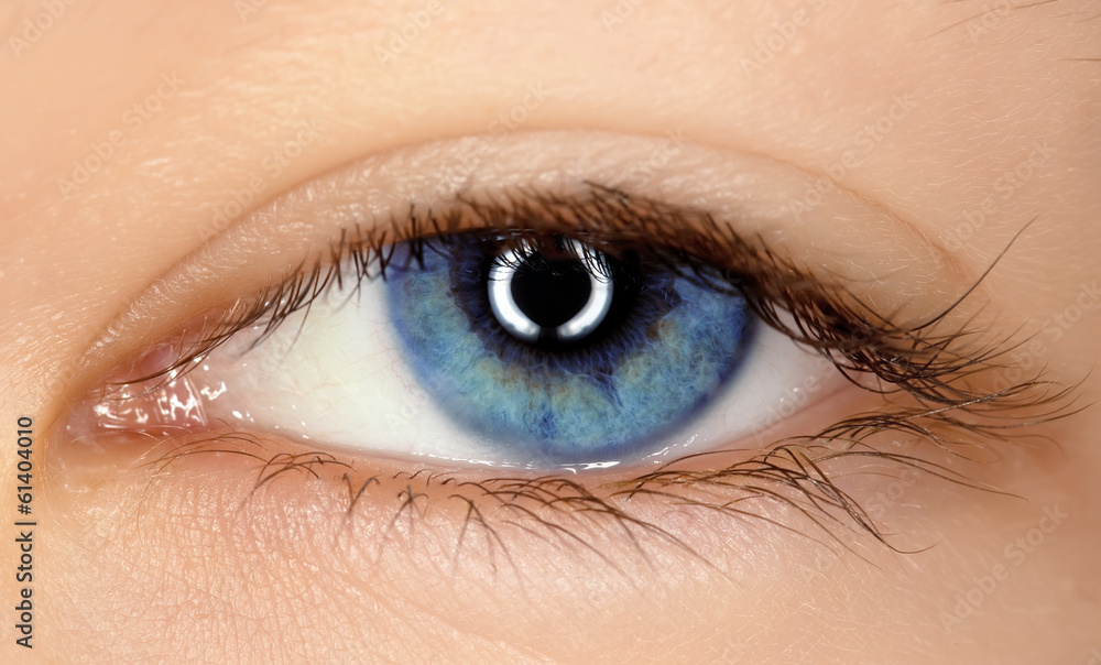Fototapeta premium blue eye of a young girl