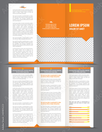 Vector empty trifold brochure template design