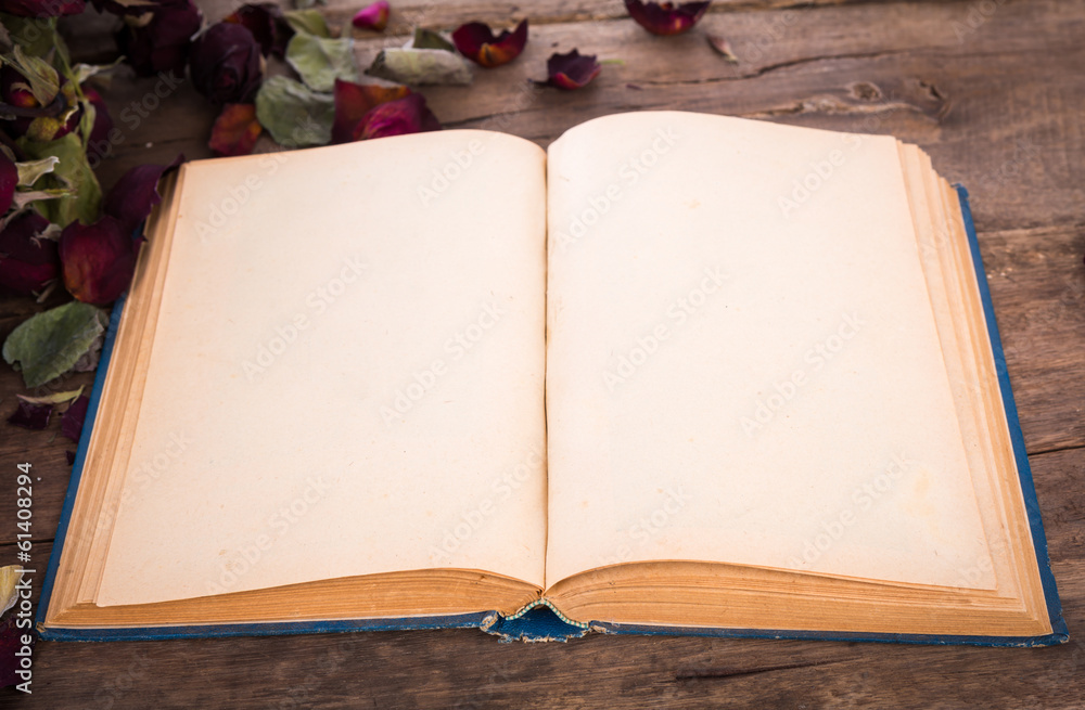 Fototapeta premium Vintage open book with dried rose