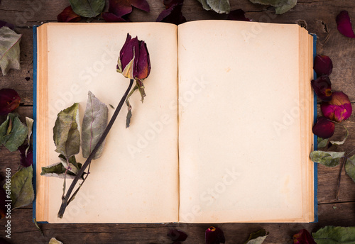 Vintage open book with dried rose
