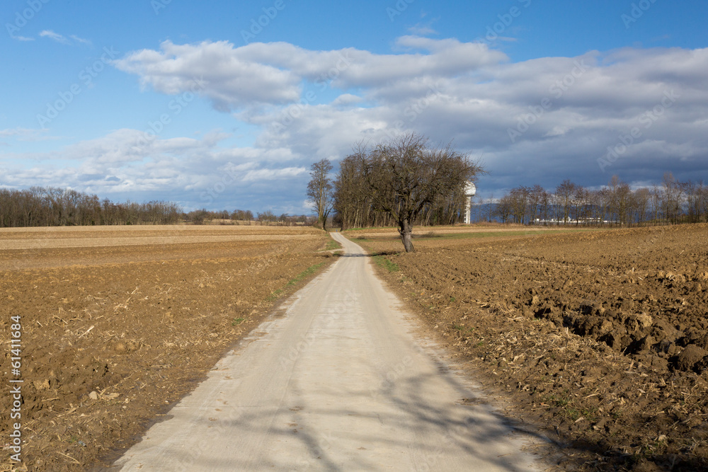 Naklejka premium Chemin vers l'horizon infini