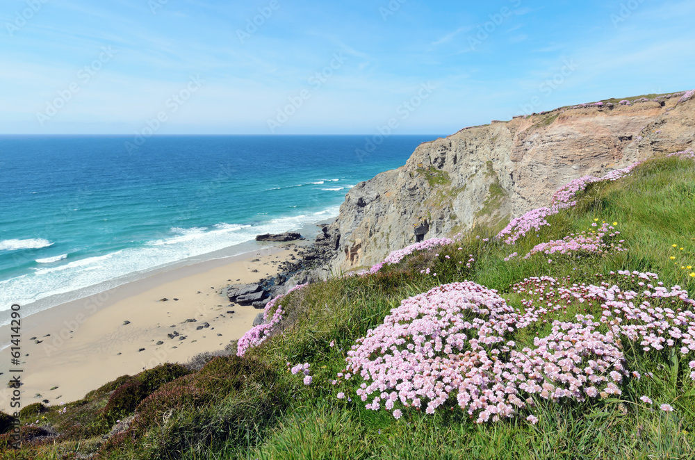 Naklejka premium Cornish Coast