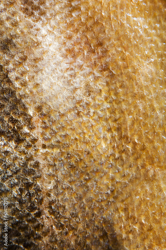 Salmon fish scales grunge texture background