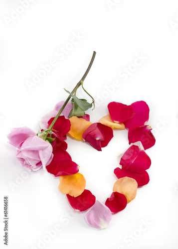 Heart-shaped collection of rose petals