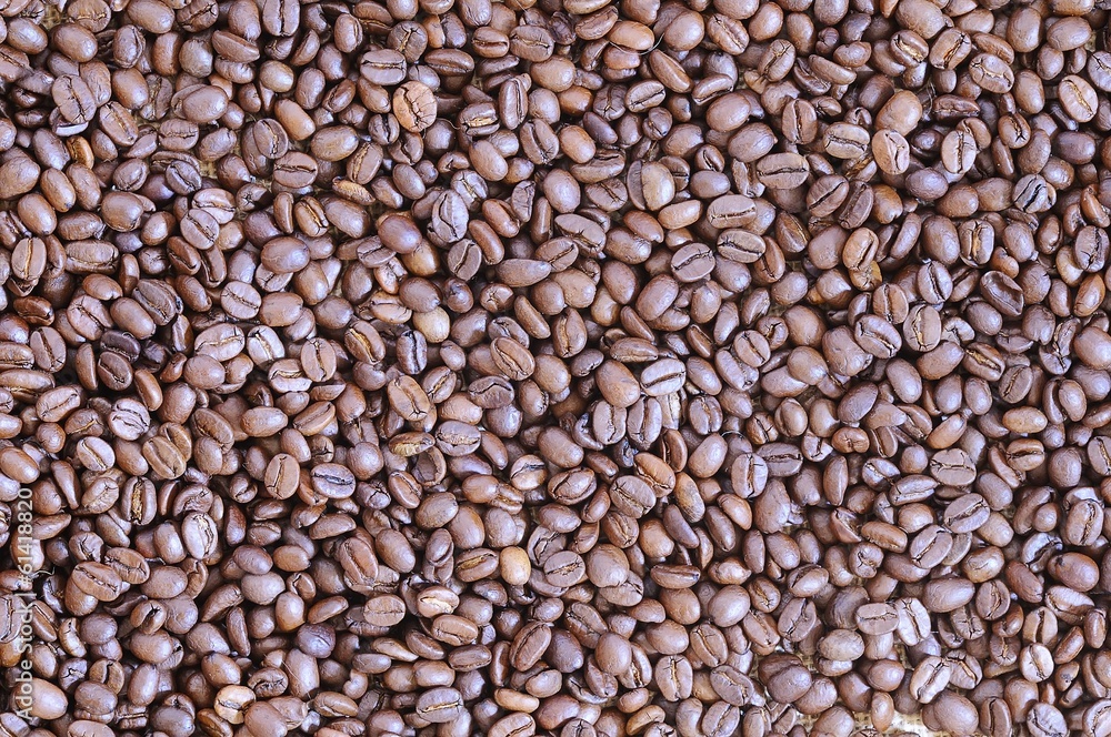 Coffee beans. Coffee beans.