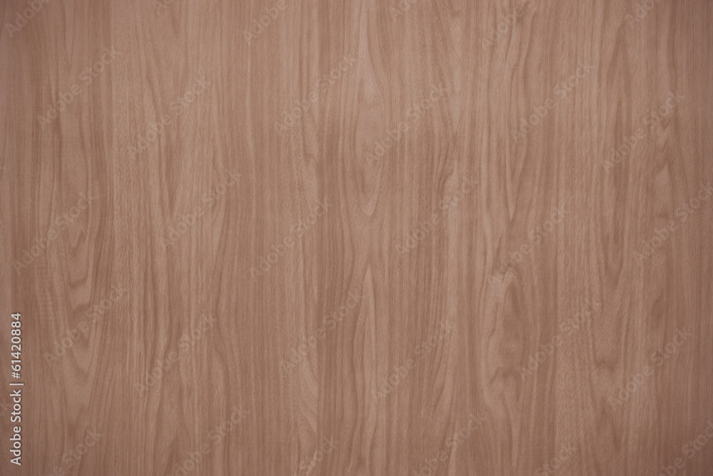 Fototapeta premium wooden texture with natural patterns