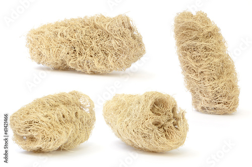 set of loofah (natural luff sponge) isolated on white