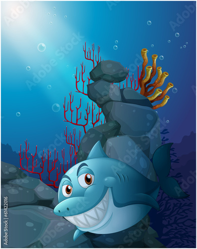 A smiling shark under the sea near the rocks