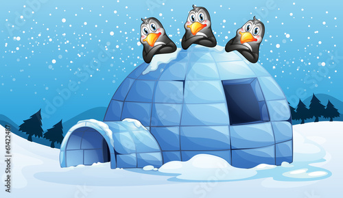 Three penguins above the igloo