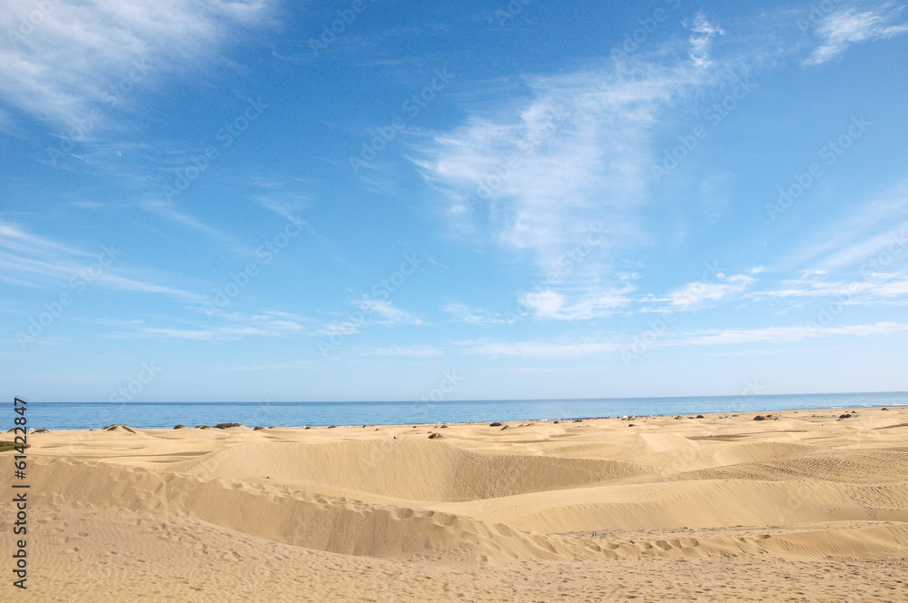 Naklejka premium Sand Dune Desert