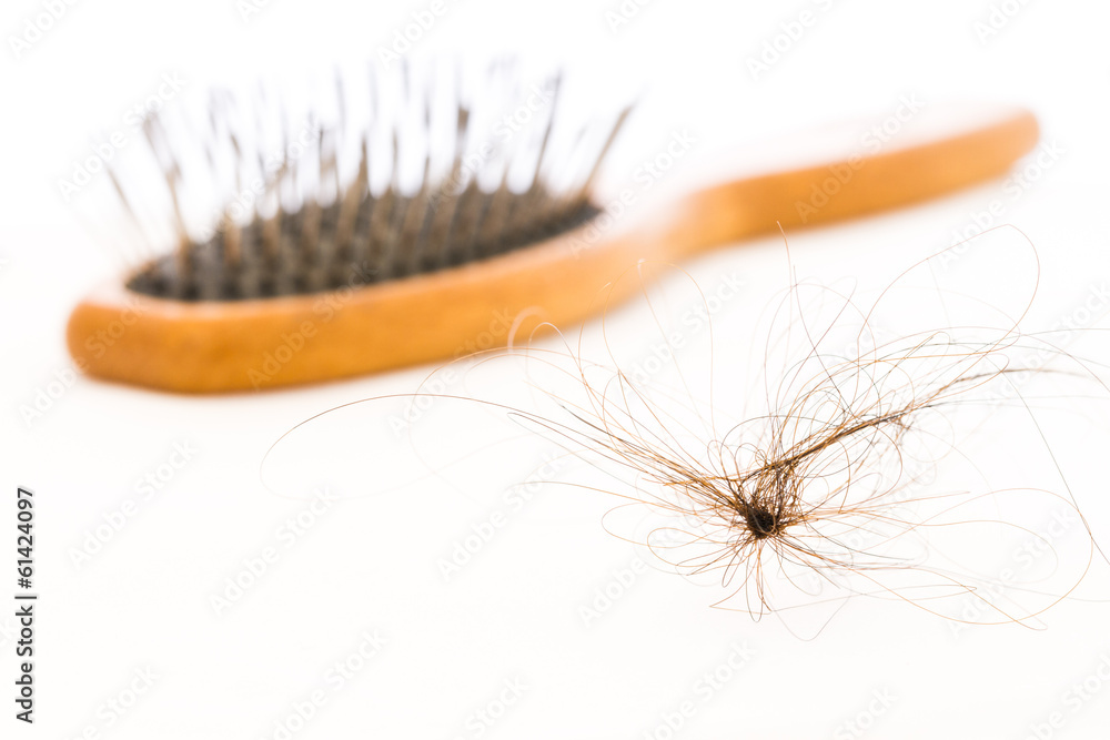 hair fall and brush