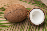Coconut on tropical sand beach