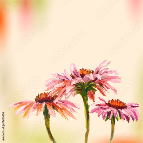 Oil painting. Echinacea. Greeting Card.
