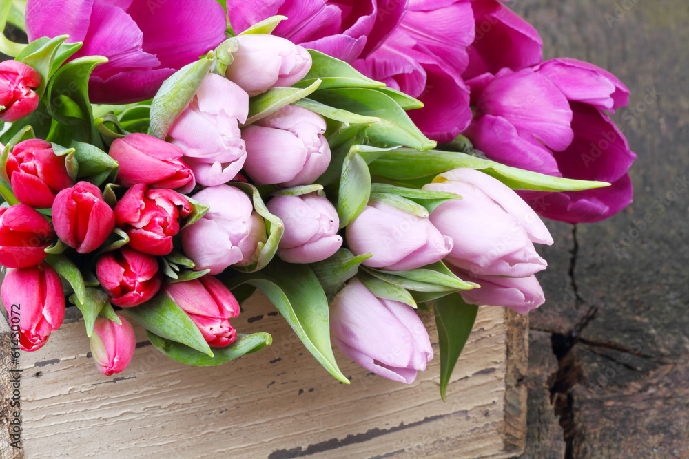 Fotografie Tulpen in Holzkiste