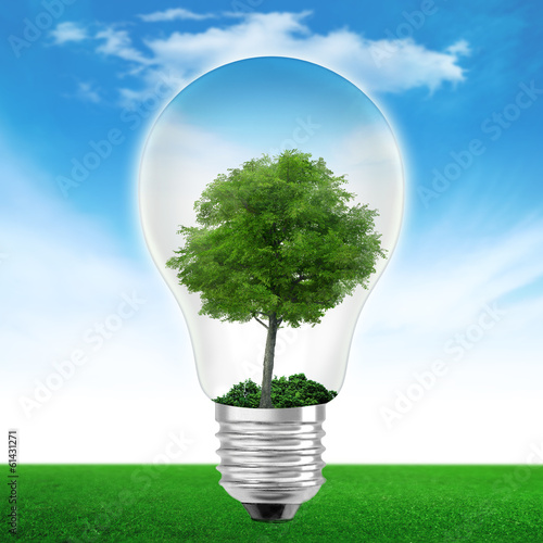 Tree tree a light bulb