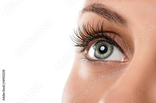 Fotografia Close up of natural female eye isolated on white background
