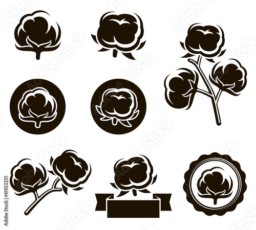 Cotton set. Vector