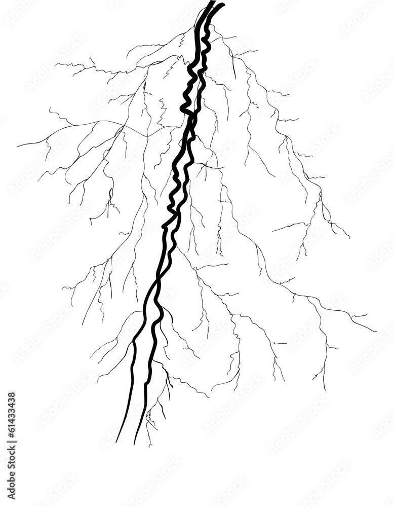 Obraz premium twin black lightning isolated on white